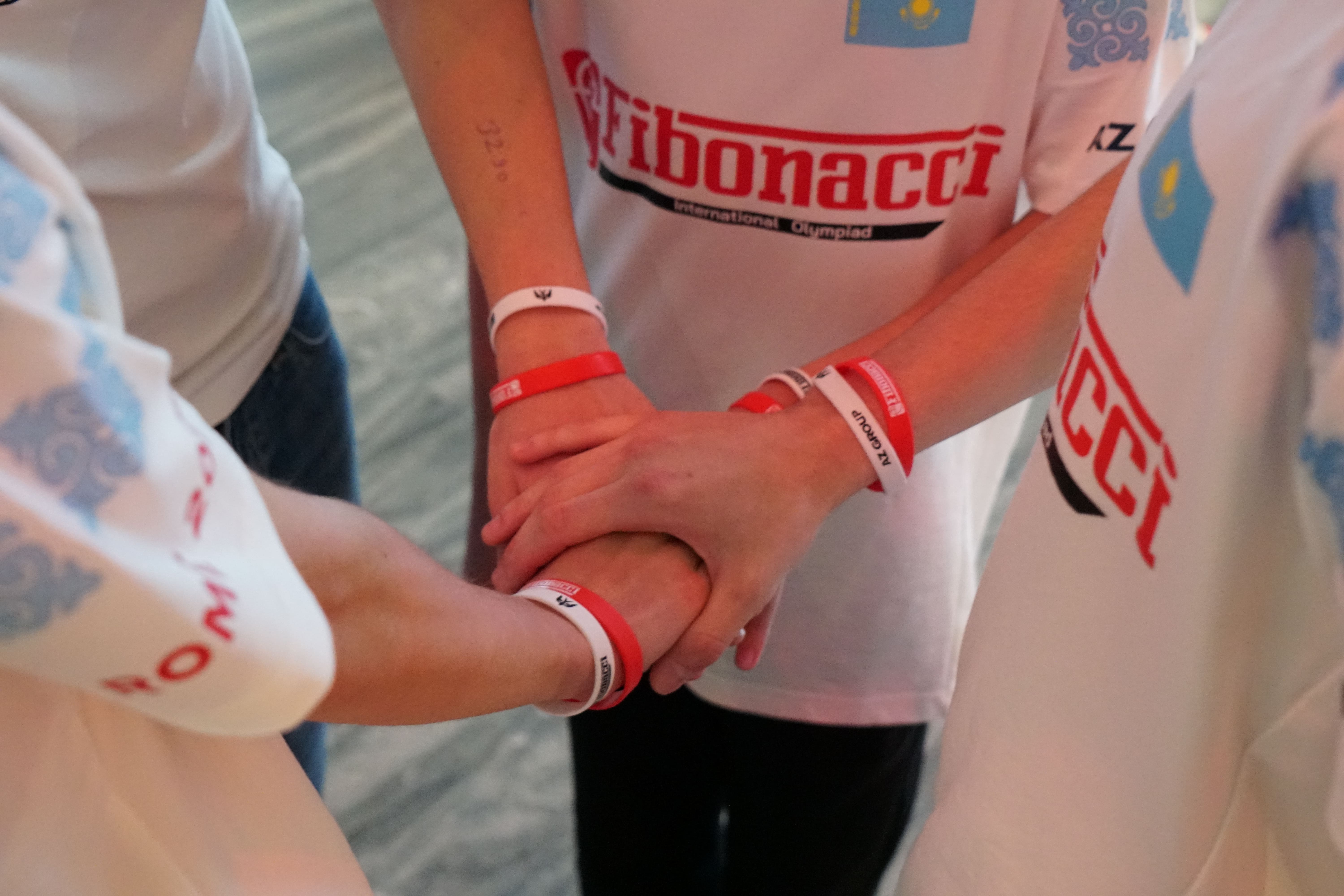 Международная олимпиада по робототехнике: Евразийский этап, Турция